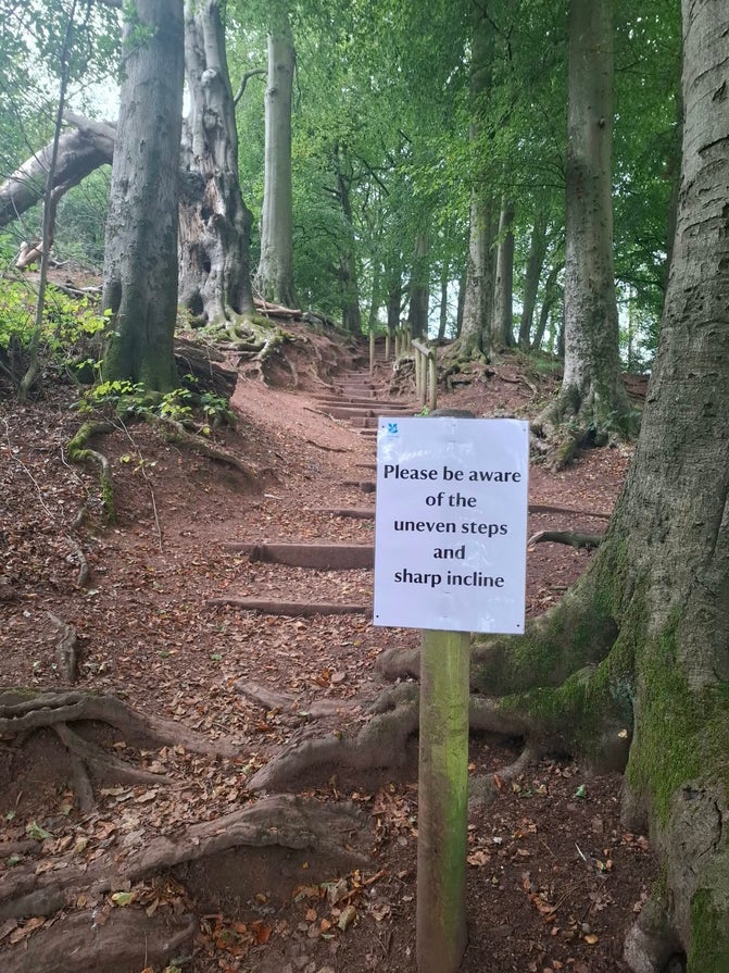 Horses Mane uneven steps